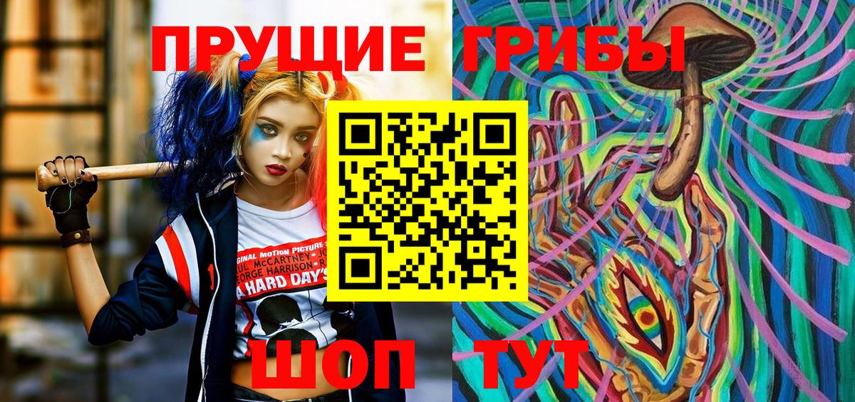купить наркотик  Галлюциногенные грибы Psilocybe  Вход с VPN  Чапаевск 