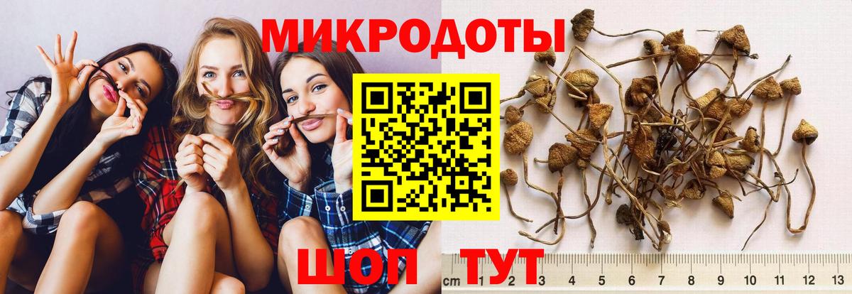 Псилоцибиновые грибы GOLDEN TEACHER Чапаевск